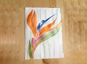 watercolor flower